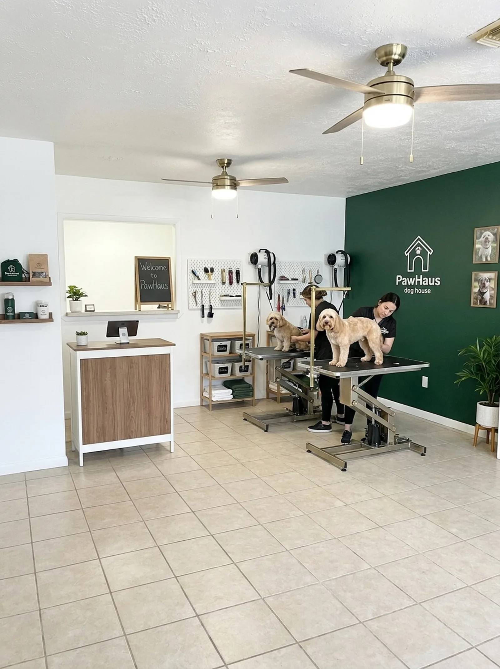 PawHaus Dog Spa